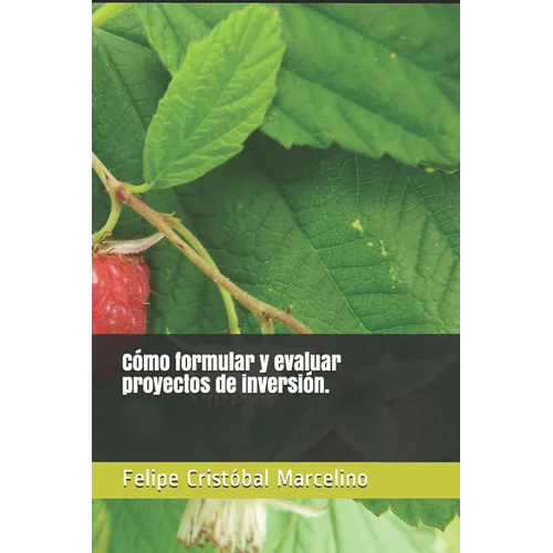 Co formular y evaluar proyectos de inversi. - Paperback