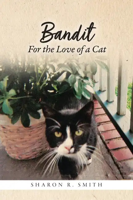 Bandit: For the Love of a Cat - Paperback