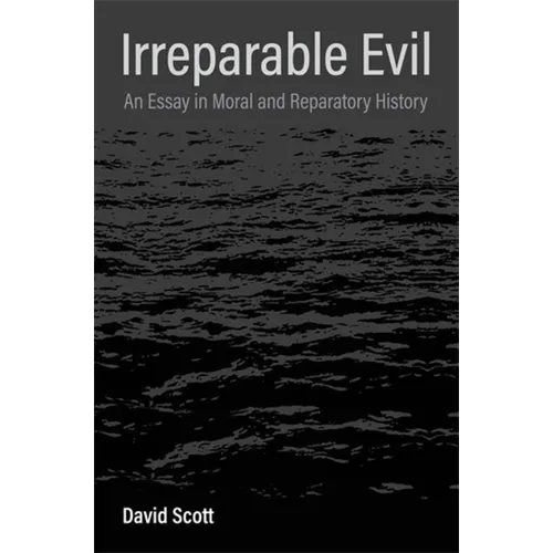 Irreparable Evil: An Essay in Moral and Reparatory History - Paperback
