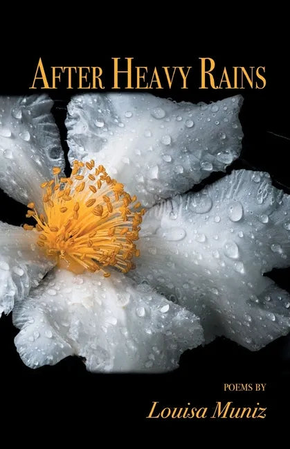 After Heavy Rains - Paperback