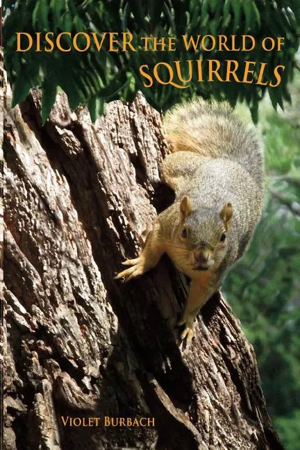 Discover the World of Squirrels: Illustrated Kids Book With Fun Facts About Squirrels And Builds Kids Vocabulary - Paperback