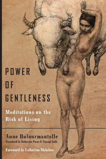 Power of Gentleness: Meditations on the Risk of Living - Paperback