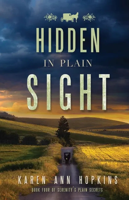 Hidden in Plain Sight - Paperback