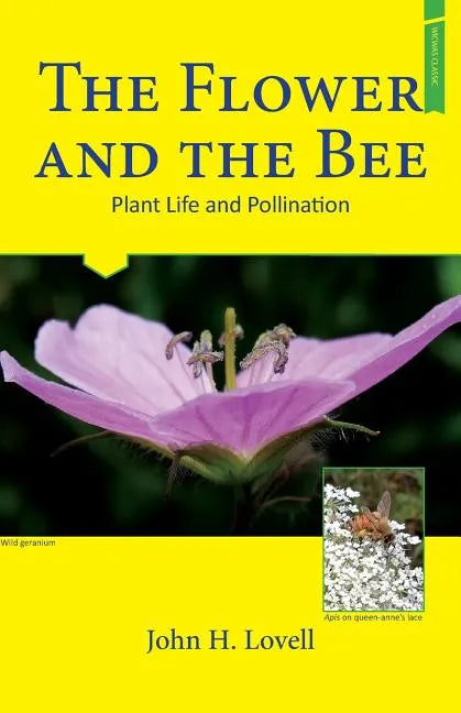 The Flower and the Bee - Paperback
