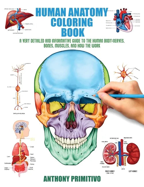 Human Anatomy Coloring Book: A Very Detailed and Informative Guide to the Human Body: Nerves, Bones, Muscles, and How to the Work - Paperback