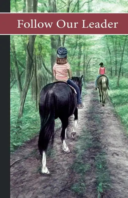 Sonrise Stable: Follow Our Leader - Paperback