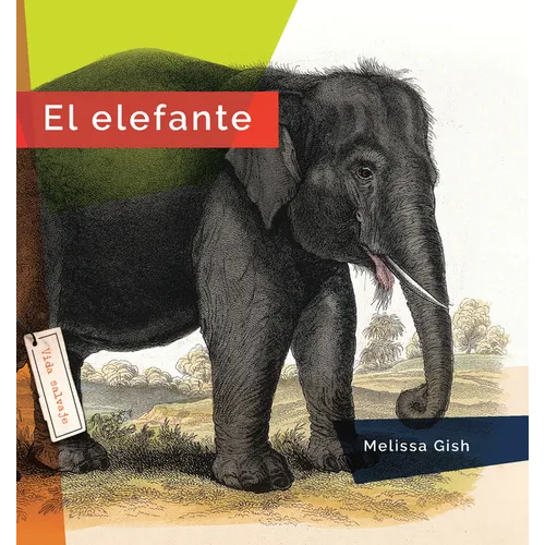 El Elefante - Paperback