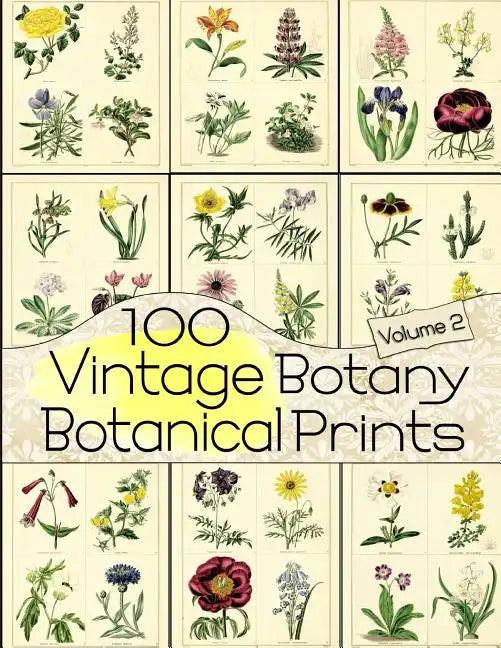 100 Vintage Botany Botanical Prints Volume 2 - Paperback