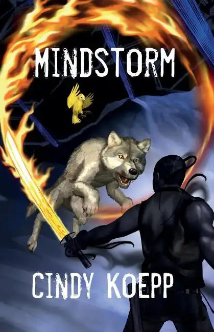 Mindstorm: Parley at Ologo - Paperback
