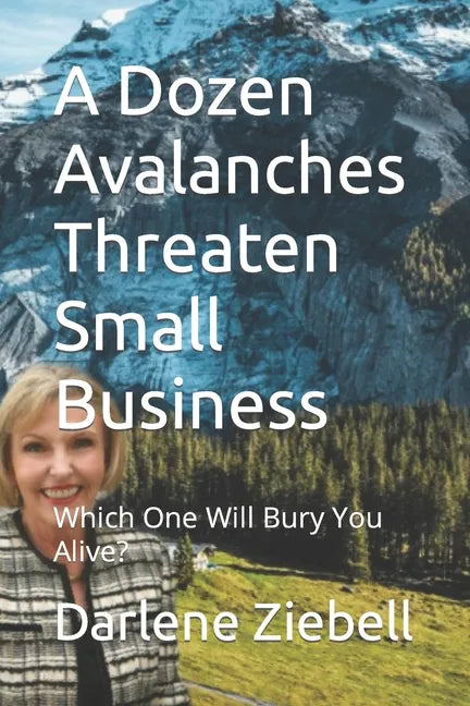 A Dozen Avalanches Threaten Small Business: Which One Will Bury You Alive? - Paperback