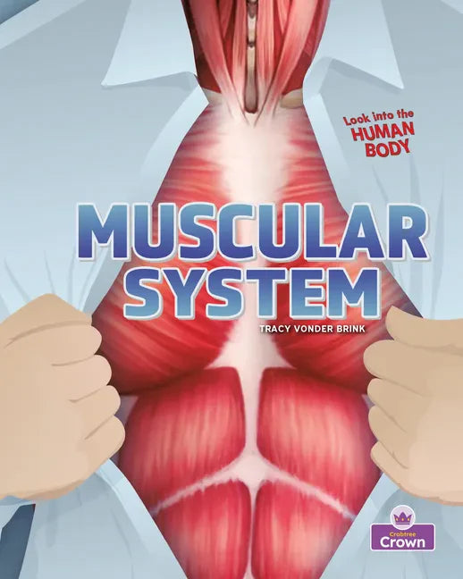 Muscular System - Paperback
