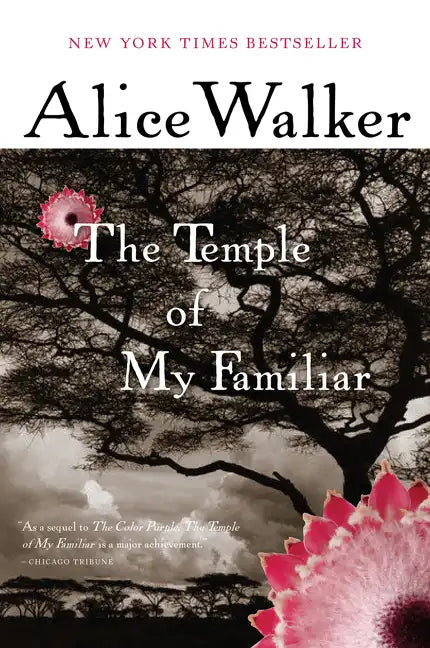The Temple of My Familiar - Paperback