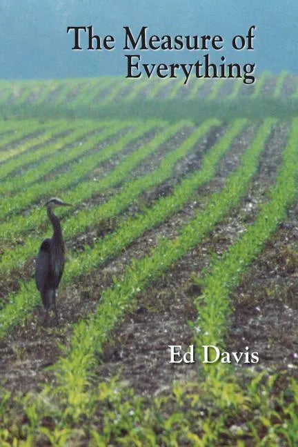 The Measure of Everything - Paperback