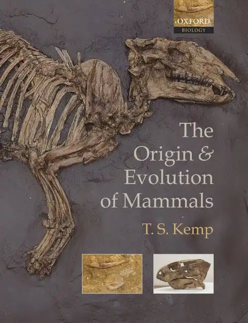 The Origin and Evolution of Mammals - Paperback