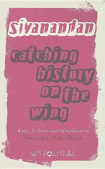 Catching History On The Wing: Race, Culture And Globalisation - Paperback