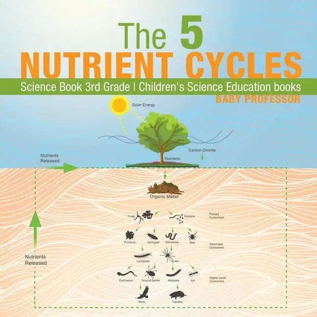 The 5 Nutrient Cycles - Science Book 3rd Grade Children's Science Education books - Paperback