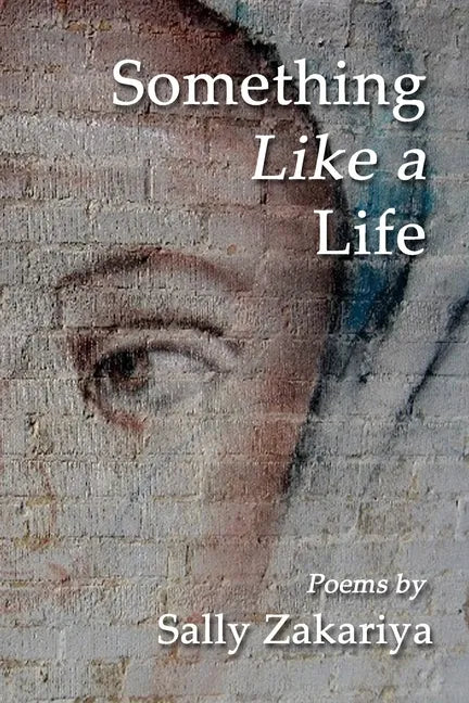 Something Like a Life - Paperback