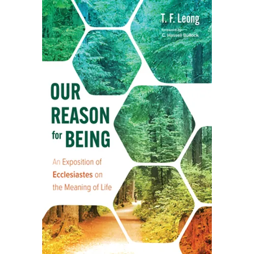Our Reason for Being: An Exposition of Ecclesiastes on the Meaning of Life - Paperback