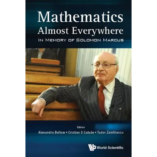 Mathematics Almost Everywhere - Hardcover