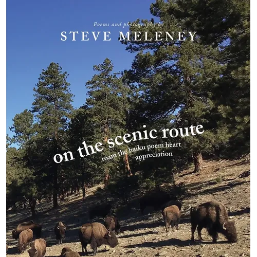 On The Scenic Route: roam the haiku poem heart appreciation - Hardcover