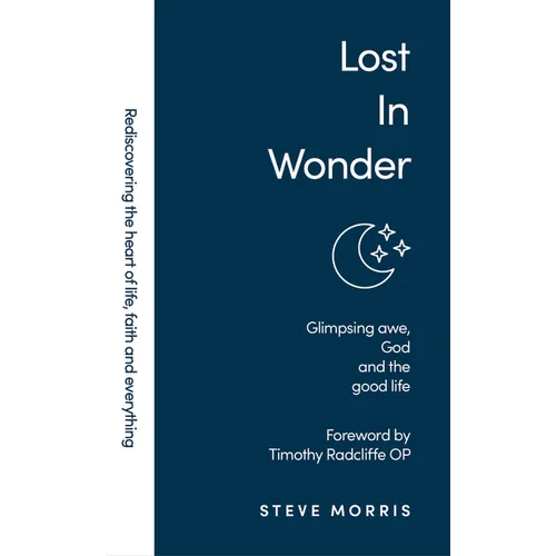 Lost in Wonder: Glimpsing Awe, God and the Good Life - Paperback