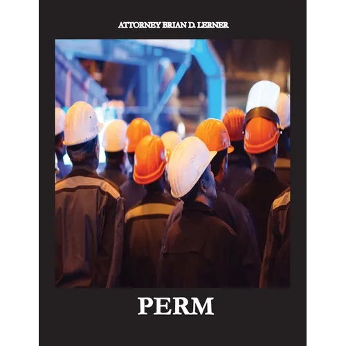 Perm: Electronic Labor Certifications for Employment Petitions - Paperback