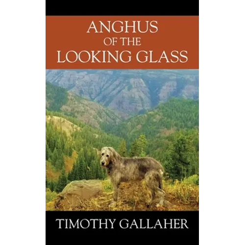 Anghus of the Looking Glass - Paperback