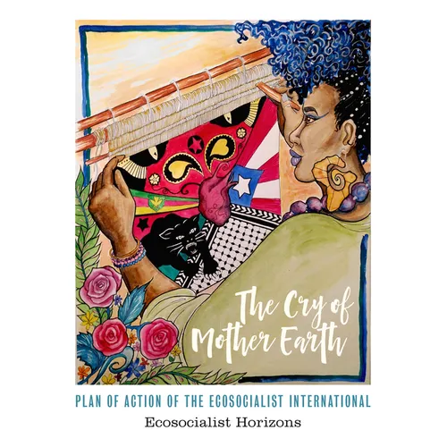 The Cry of Mother Earth: Plan of Action of the Ecosocialist International - Paperback