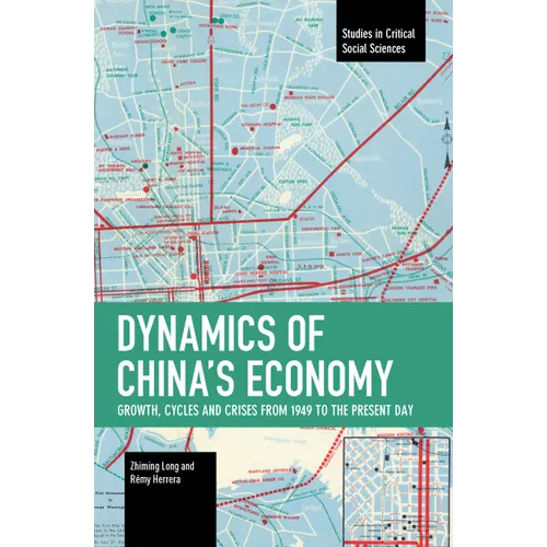 Dynamics of China's Economy: Growth, Cycles and Crises from 1949 to the Present Day - Paperback