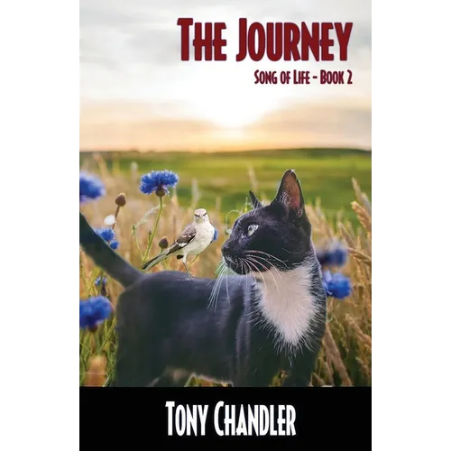 The Journey (Song of LIfe - Book 2) - Paperback