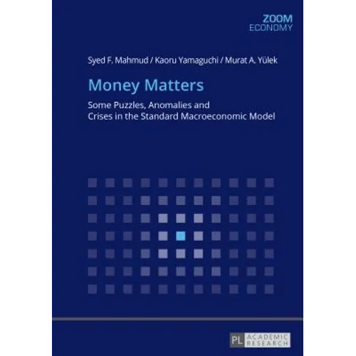 Money Matters: Some Puzzles, Anomalies and Crises in the Standard Macroeconomic Model - Paperback
