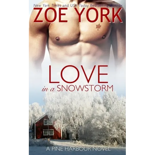 Love in a Snowstorm - Paperback