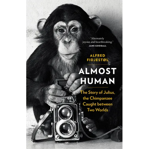 Almost Human: The Story of Julius, the Chimpanzee Caught Between Two Worlds - Hardcover