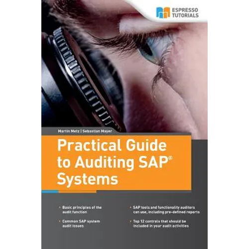 Practical Guide to Auditing SAP Systems - Paperback