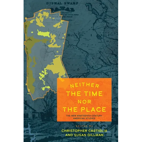 Neither the Time Nor the Place: The New Nineteenth-Century American Studies - Hardcover