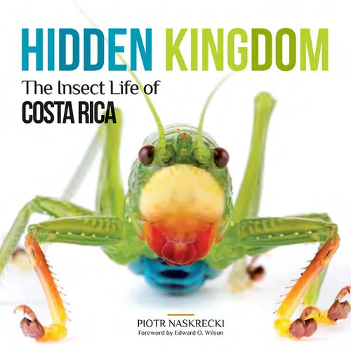 Hidden Kingdom: The Insect Life of Costa Rica - Paperback