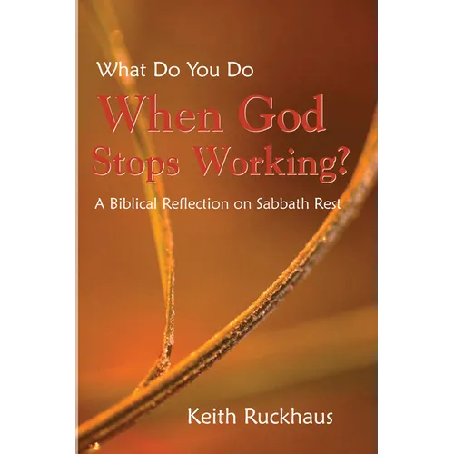 When God Stops Working - Hardcover