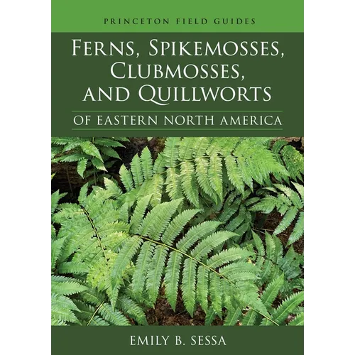 Ferns, Spikemosses, Clubmosses, and Quillworts of Eastern North America - Paperback