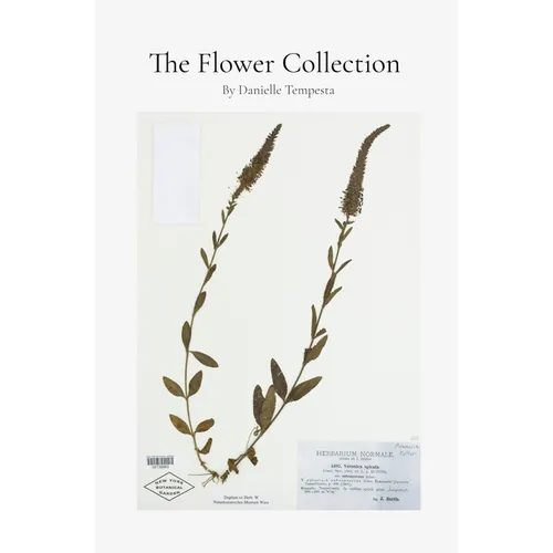 The Flower Collection - Paperback