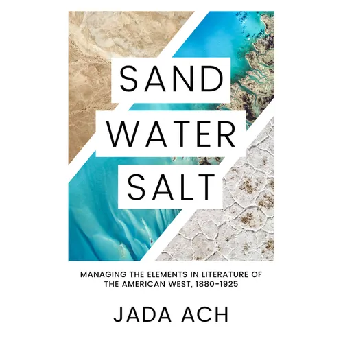 Sand, Water, Salt: Managing the Elements in Literature of the American West, 1880-1925 - Hardcover
