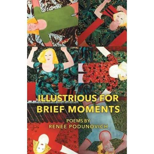 Illustrious for Brief Moments - Paperback
