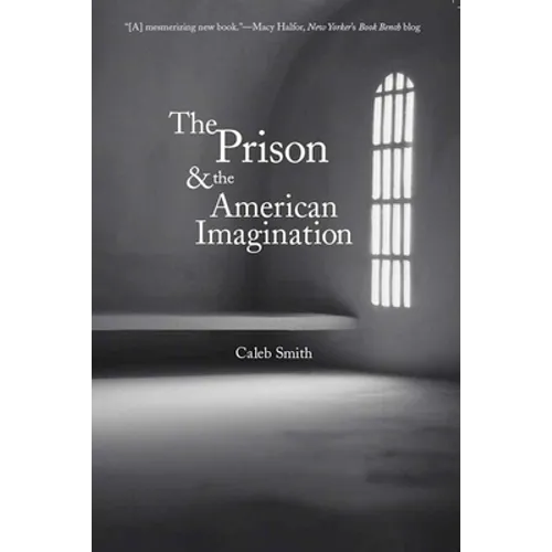 Prison and the American Imagination - Paperback