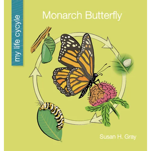 Monarch Butterfly - Paperback