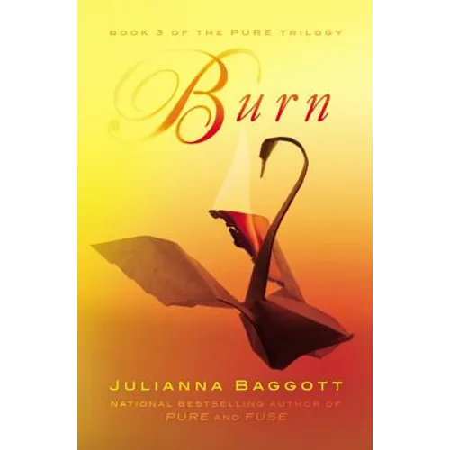Burn - Paperback