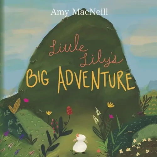 Little Lily's Big Adventure - Paperback