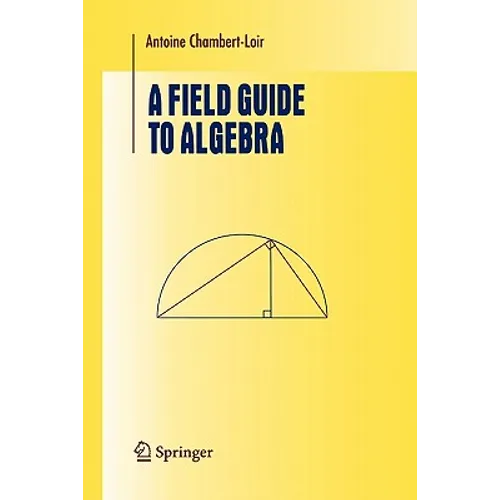 A Field Guide to Algebra - Paperback