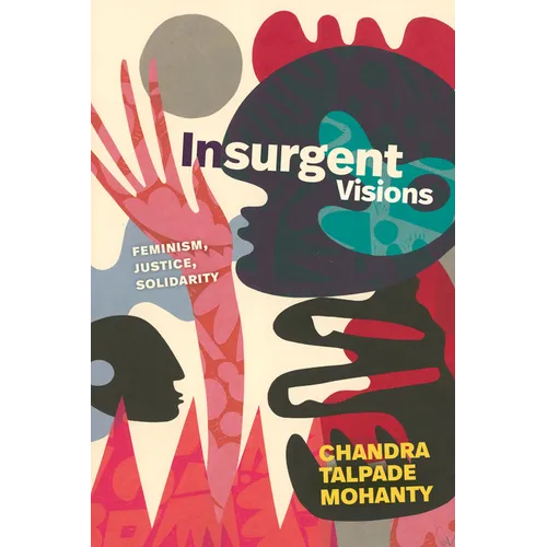 Insurgent Visions: Feminism, Justice, Solidarity - Paperback