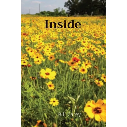 Inside - Paperback