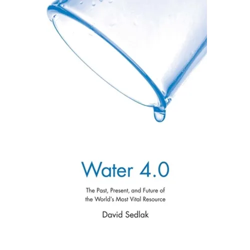Water 4.0: The Past, Present, and Future of the World's Most Vital Resource - Paperback