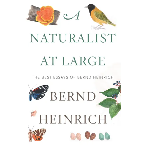 A Naturalist at Large: The Best Essays of Bernd Heinrich - Hardcover